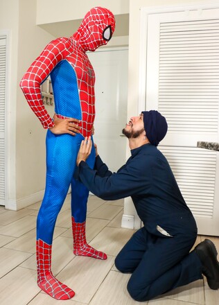 Spiderman Burgler