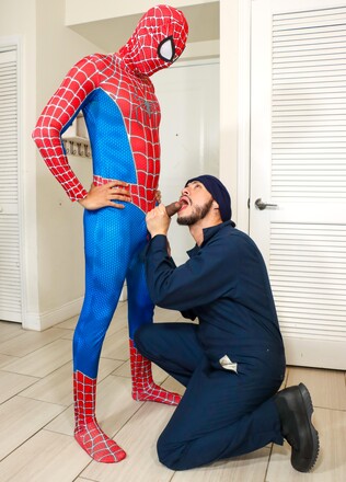 Spiderman Burgler