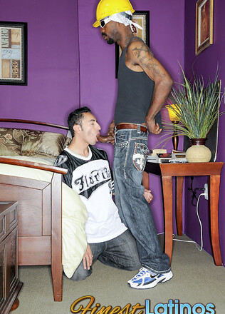 Black Cock for Pedro