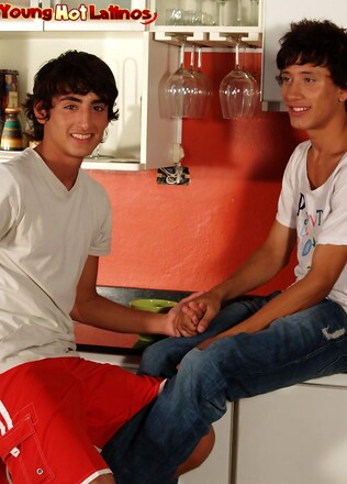Federico and Alejandro fucking in a kitchen