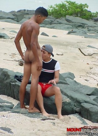 Two cute twinks at the beach sucking cock and fondling each other.